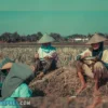 Pengertian Petani Milenial Sampai Kepanjangan Dari Petani, Inilah Petani Milenial Jawa Barat Yang Dapat Memitovasi Generasi Muda