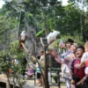 Yuk Ajak Anak Anda Berlibur ke Wisata Edukasi Kebun Binatang Raya Bandung: Liburan Sambil Belajar