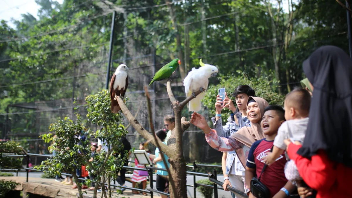 Yuk Ajak Anak Anda Berlibur ke Wisata Edukasi Kebun Binatang Raya Bandung: Liburan Sambil Belajar