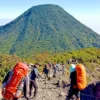 Mendaki Gunung Gede Pangrango Yuk, Ini Wisata Alam Dekat Bandung