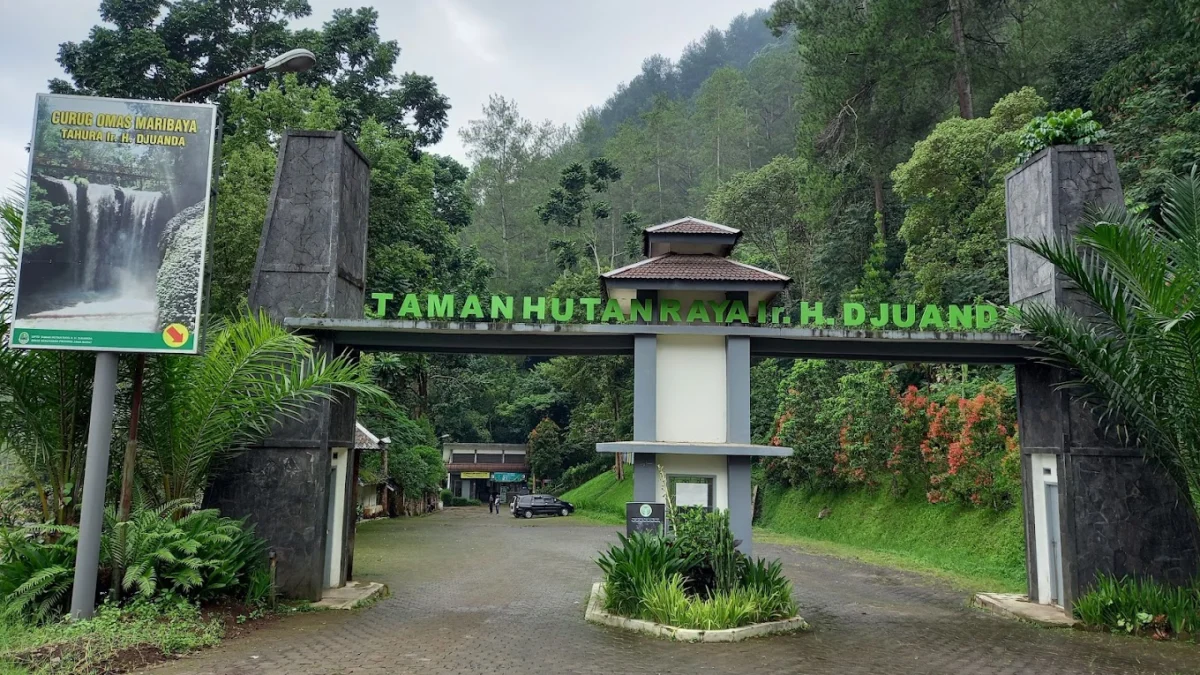 Keindahan Taman Hutan Raya Ir.H.Djuanda di Bandung Buat Kagum Turis Lokal