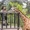 Kebun Binatang Raya Bandung, Wisata Edukasi dan Hiburan untuk Keluarga