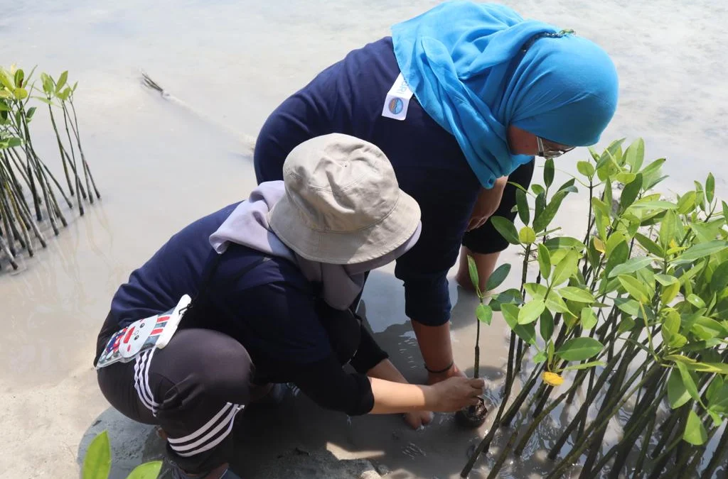 Dukung Upaya Pemerintah Bebas Emisi Karbon, BRI Kembali Tanam Bibit Mangrove di Pulau Tidung, Total 10.500 Bibit di 2023