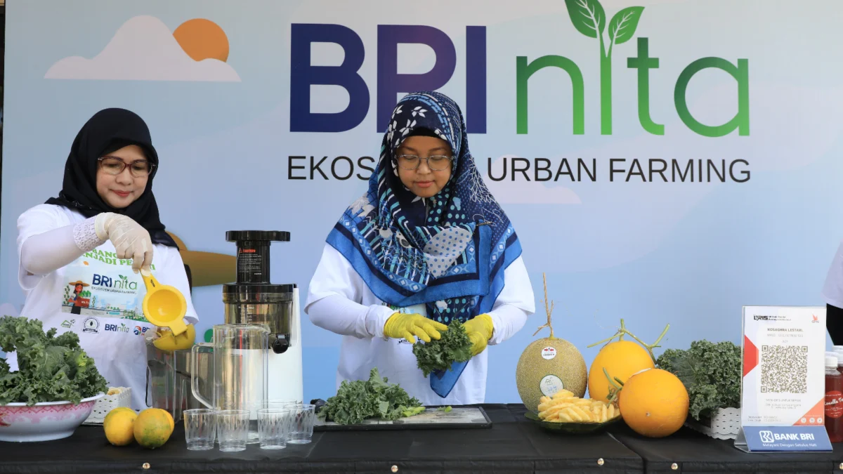 Kembangkan Urban Farming di Lahan Sempit, BRI Peduli Inspirasi Bertani di Kota (BRInita)
