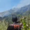 PADAMKAN API: Seorang petugas BPBD Sumedang ikut serta memadamkan kebakaran hutan di wilayah Desa Jatiroke Kecamatan Jatinangor, kemarin.(ISTIMEWA)