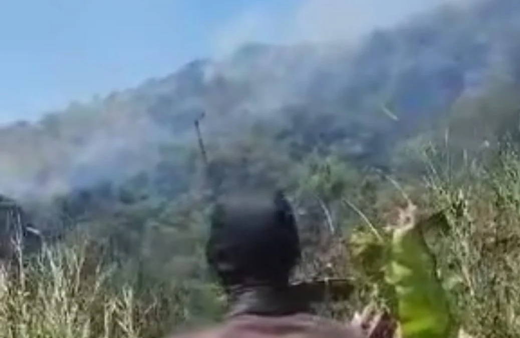 PADAMKAN API: Seorang petugas BPBD Sumedang ikut serta memadamkan kebakaran hutan di wilayah Desa Jatiroke Kecamatan Jatinangor, kemarin.(ISTIMEWA)