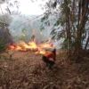 BEJIBAKU: Sejumlah pemadam mengevakuasi kebakaran di Dusun Cinangka, Rt 05 RW 09, Desa Cigendel, Kecamatan Pamulihan, Kabupaten Sumedang, baru-baru ini.