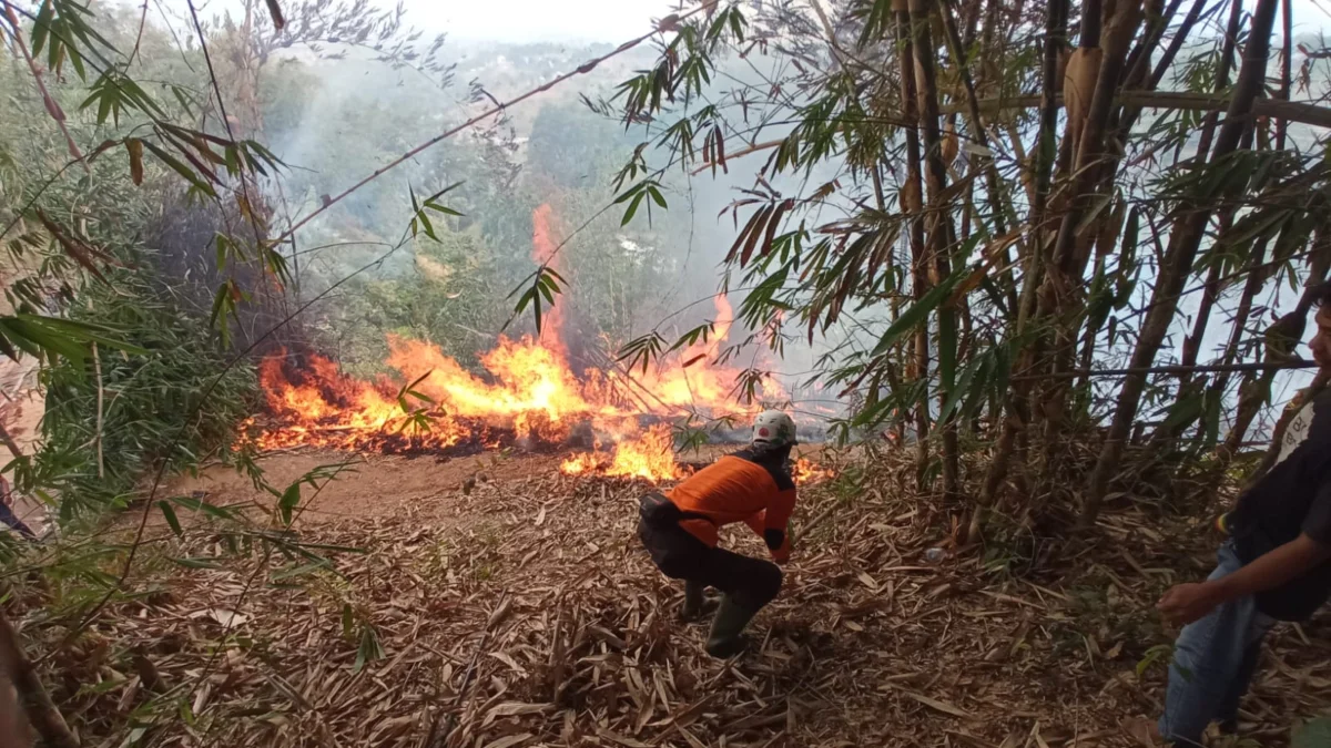 BEJIBAKU: Sejumlah pemadam mengevakuasi kebakaran di Dusun Cinangka, Rt 05 RW 09, Desa Cigendel, Kecamatan Pamulihan, Kabupaten Sumedang, baru-baru ini.