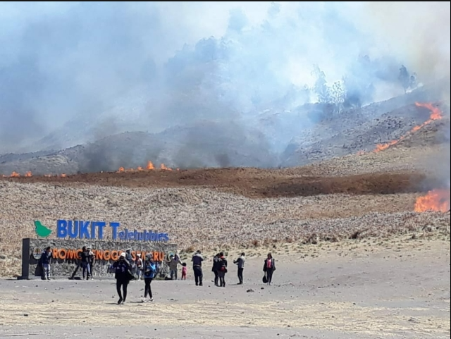 Objek Wisata Gunung Bromo Bukit Teletubbies Terbakar