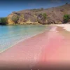 Pantai Pink dan Kehidupan Bawah Laut, Petualangan Warna-warni di Bawah Permukaan