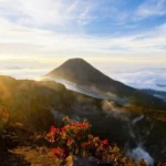 Wisata Alam Bandung: Hiking Gunung Gede Pangrango Indah Sekali