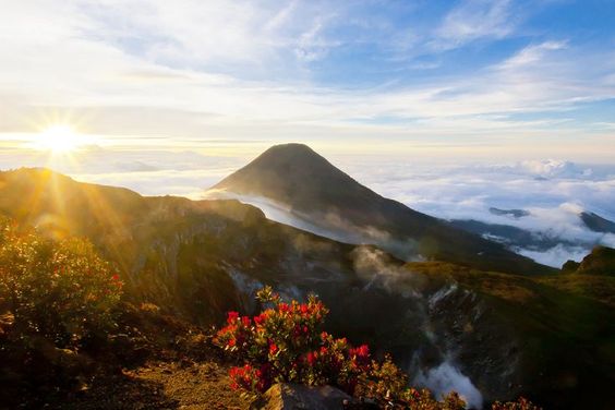 Wisata Alam Bandung: Hiking Gunung Gede Pangrango Indah Sekali