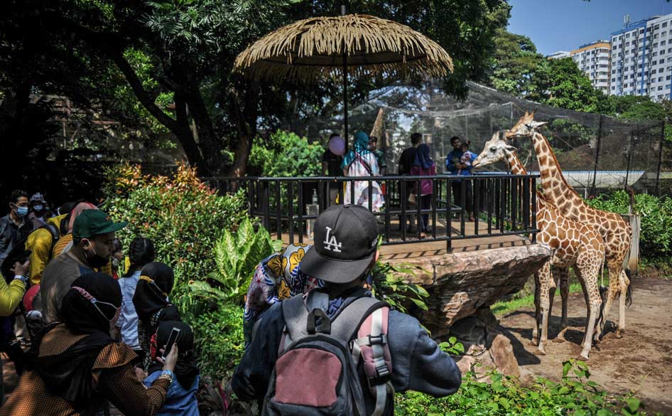 Zoo Date di Kebun Binatang Bandung Bikin Ayang Makin Cinta : Harga Tiket, Fasilitas, Wahana dan Alamat
