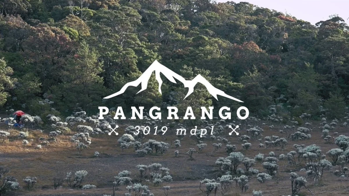 Menikmati Keindahan Alam dengan Mendaki Wisata Gunung Pangrango! Ini Dia Jalur Favorit Para Pendaki!
