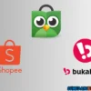 Rekomendasi Jual Uang Koin 1000 Kelapa Sawit di E-Commerce Untung Banyak, Download Aplikasi ini!