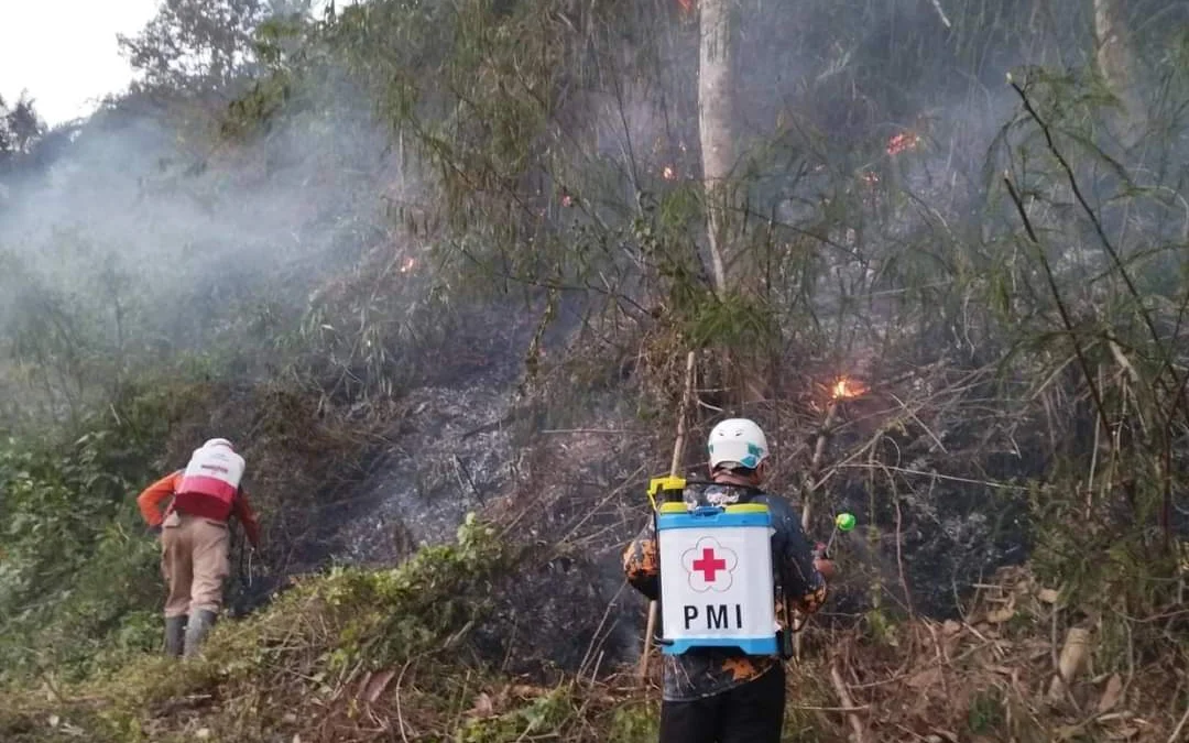 MEREBAK: Petugas berusaha memadamkan api yang menyebabkan kebakaran lahan dan hutan, di Dusun Nangtung, Desa Ciherang Kecamatan Sumedang Selatan, baru-baru ini.