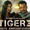 Nonton Film Tiger 3 Full Movie Sub Indo Kualitas HD