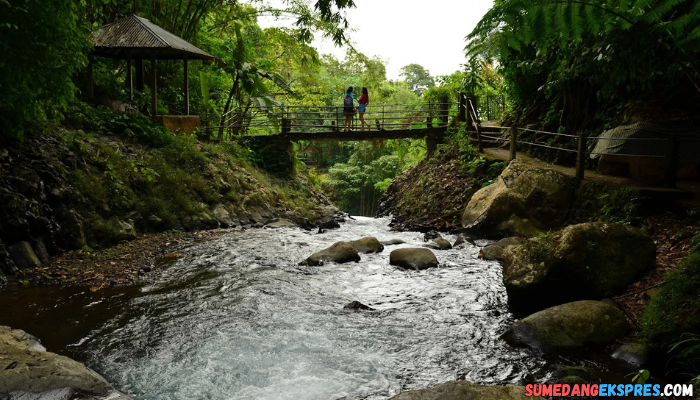 Wana Wisata Air Terjun Gitgit Waterfall Pulau Dewata Bali Jadi Incaran Wisatawan Karena Panorama Alamnya!