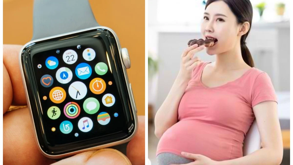 Cara Kerja Aplikasi SINURMI dan Smart Watch untuk Memantau Kesehatan Ibu Hamil : Inovasi Terbaik Pemkab Sumedang Turunkan Stunting