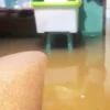 Longsor dan Banjir Menimpa Kota Bogor Akibat Hujan Deras