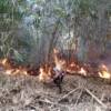 KEBAKARAN LAHAN: Petugas tengah memadamkan api di lahan dan hutan yang terjadi di Desa Cilayung Kecamatan Jatinangor, baru-baru ini.