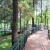 Wisata Forest Walk TSC Sumedang, Paket Lengkap Kawasan Bendungan Jatigede