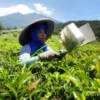 Pemerintah Pusat Didesak Untuk Dukung Reforma Agraria di Sumedang