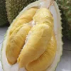 Efek samping berbahaya makan durian berlebihan