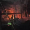 Kebakaran Peternakan Ayam di Sukabumi, Diduga Karena Hubungan Pendek Arus Listrik