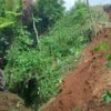 Bencana Tanah Longsor Guncang Kabupaten Sukabumi: 19 Titik Terkena Dampak