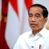Presiden Jokowi Mendorong Diferensiasi Identitas Daerah