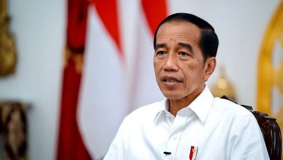 Presiden Jokowi Mendorong Diferensiasi Identitas Daerah