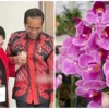 Presiden Jokowi Mengirimkan Sejumlah Bunga di Ulang Tahun Megawati Soekarnoputri ke-77