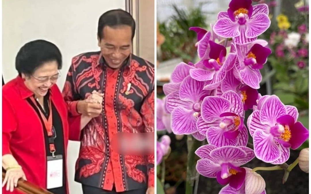 Presiden Jokowi Mengirimkan Sejumlah Bunga di Ulang Tahun Megawati Soekarnoputri ke-77