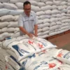 Rendahnya Produksi Beras Mendorong Pemerintah Indonesia Aktif dalam Program Bantuan Pangan dan Impor Beras