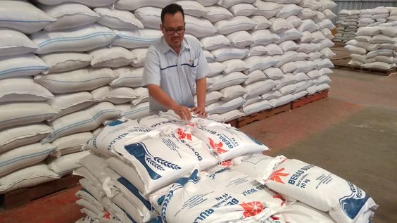Rendahnya Produksi Beras Mendorong Pemerintah Indonesia Aktif dalam Program Bantuan Pangan dan Impor Beras