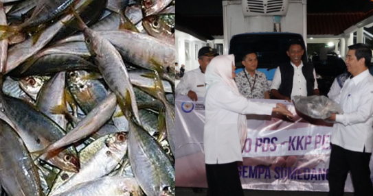 KKP Memberikan Bantuan 1 Ton Ikan dan Beras untuk Korban Gempa Sumedang