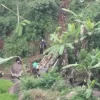 CURAM: Bangkai mobil siaga Desa Sukajadi masih berada di jurang sedalam 15 meter, setelah kejadian kecelakaan di Kecamatan Wado, kemarin.