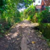 BERBAHAYA: Kondisi Jalan dimDusun Kebonbala, Desa Cigintung yang rusak parah dan menimbulkan banyak pengendara sepeda motor terjatuh.