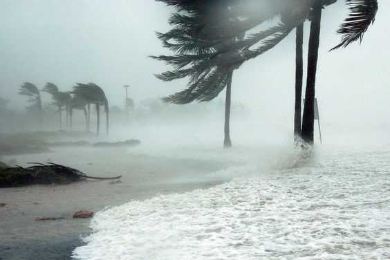 Peringatan Dini Cuaca Ekstrem dari BMKG: Siklon Tropis Anggrek Mengancam Sejumlah Wilayah Indonesia