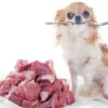 Daftar Kota di Jabar Yang Larang Perdagangan Daging Anjing, Sumedang Melarang Atau Tidak?