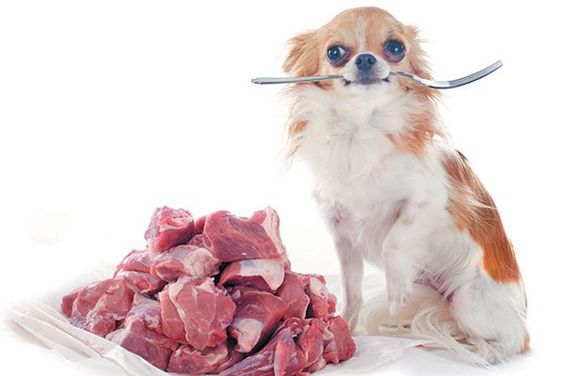 Daftar Kota di Jabar Yang Larang Perdagangan Daging Anjing, Sumedang Melarang Atau Tidak?