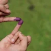 Fakta Menarik Tinta Pemilu di Indonesia!