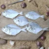 Sumedang Daerah Penghasil Ikan Pepetek, Capai Hasil 1 Ton Lebih Dalam Semalam