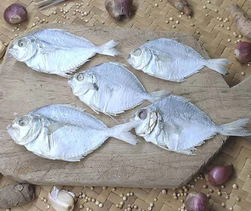 Sumedang Daerah Penghasil Ikan Pepetek, Capai Hasil 1 Ton Lebih Dalam Semalam