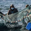 4 Persoalan Sektor Perikanan di Subang, Konsumsi Ikan Salah Satunya