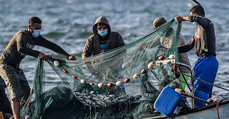4 Persoalan Sektor Perikanan di Subang, Konsumsi Ikan Salah Satunya