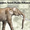 Mengenal Gajah Purba Jenis Stegodon yang Hidup di Sumedang Pada Zaman Dulu