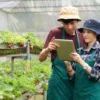 5 Ide Bisnis Pertanian Yang Cocok Untuk Anak Muda, No 4 Wajib Kamu Coba Dijamin Sukses