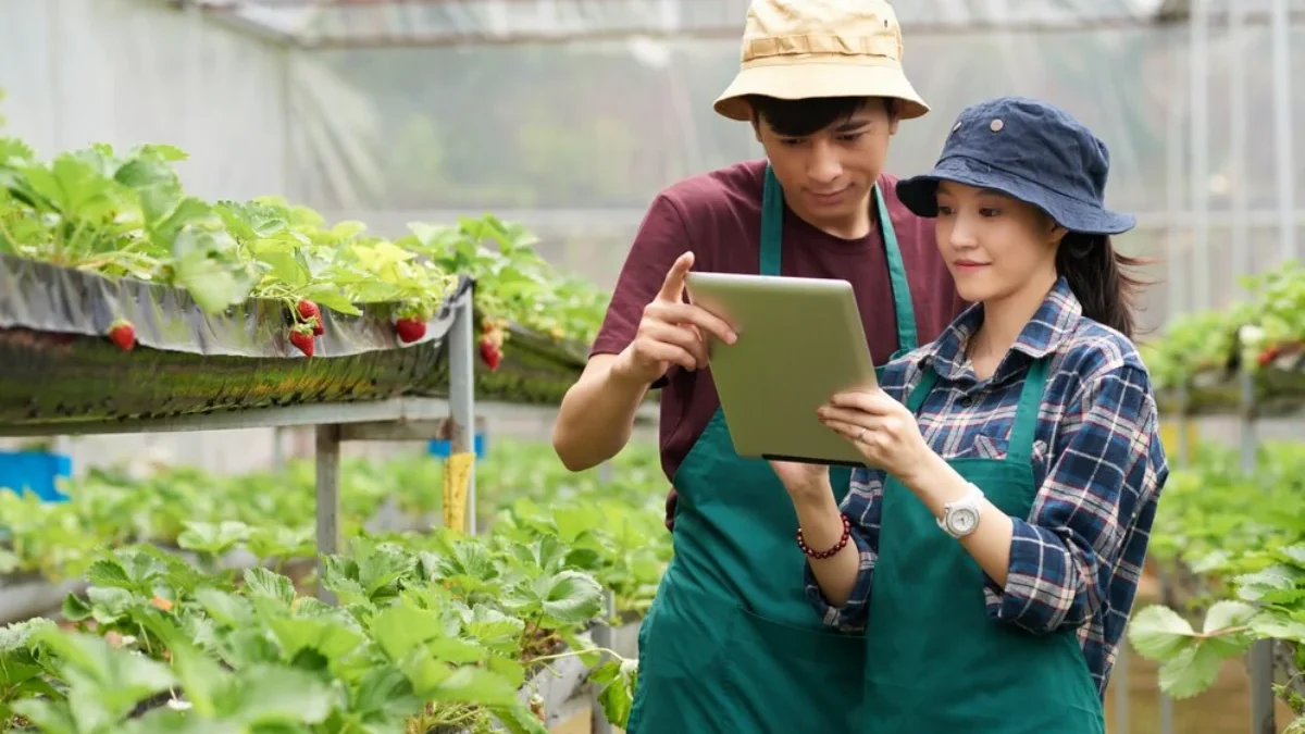 5 Ide Bisnis Pertanian Yang Cocok Untuk Anak Muda, No 4 Wajib Kamu Coba Dijamin Sukses